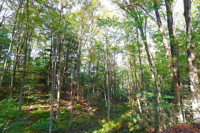 0 Woodlawn Drive 2 & 3, Hartford, VT 05001