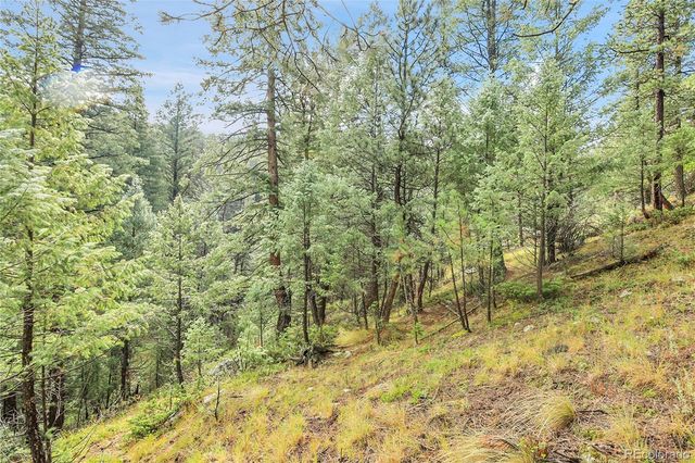TBD Mountain Park Road, Evergreen, CO 80439