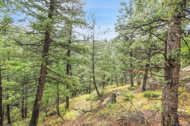 TBD Mountain Park Road, Evergreen, CO 80439