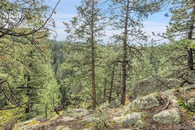 TBD Mountain Park Road, Evergreen, CO 80439