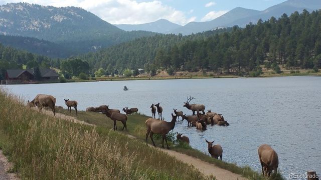 TBD Mountain Park Road, Evergreen, CO 80439