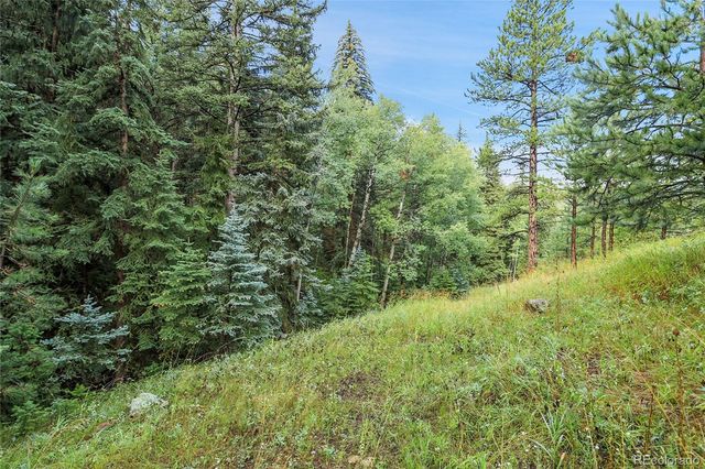 TBD Mountain Park Road, Evergreen, CO 80439