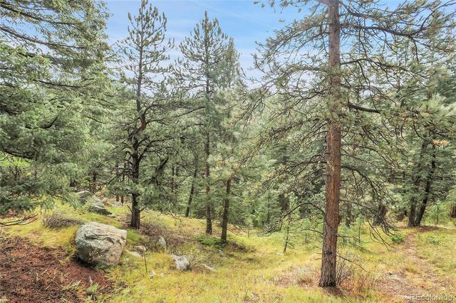 TBD Mountain Park Road, Evergreen, CO 80439