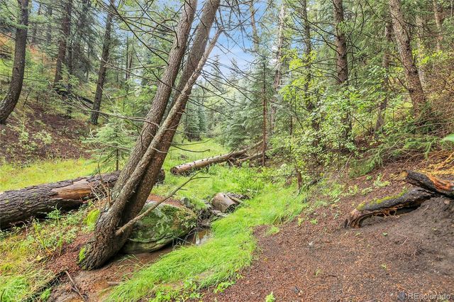 TBD Mountain Park Road, Evergreen, CO 80439