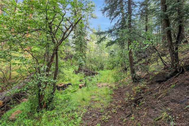 TBD Mountain Park Road, Evergreen, CO 80439