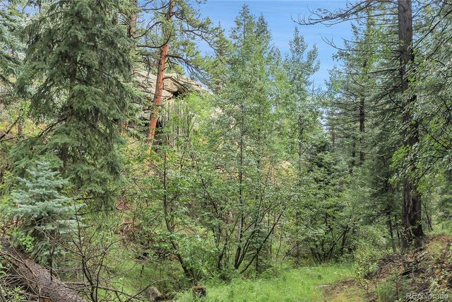 TBD Mountain Park Road, Evergreen, CO 80439