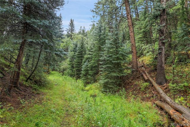 TBD Mountain Park Road, Evergreen, CO 80439