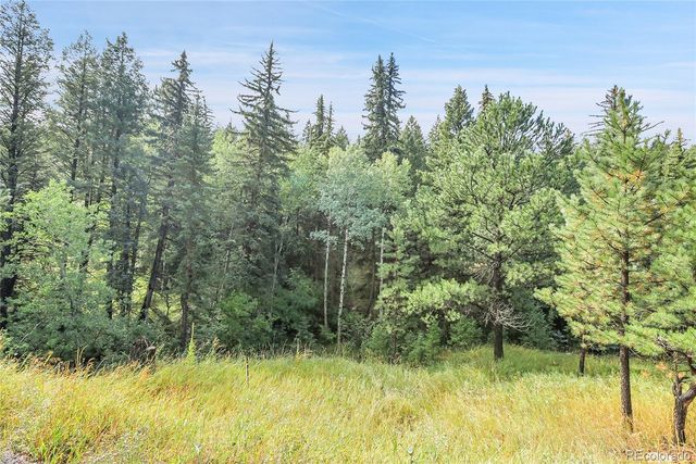 TBD Mountain Park Road, Evergreen, CO 80439