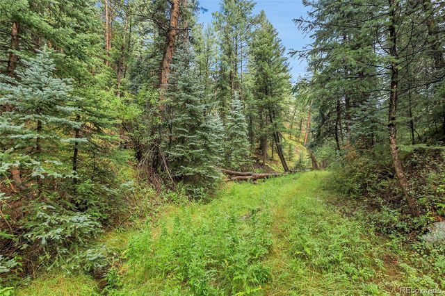 TBD Mountain Park Road, Evergreen, CO 80439
