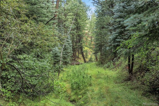 TBD Mountain Park Road, Evergreen, CO 80439