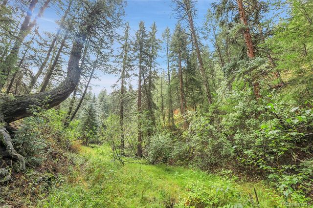 TBD Mountain Park Road, Evergreen, CO 80439