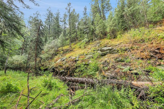 TBD Mountain Park Road, Evergreen, CO 80439