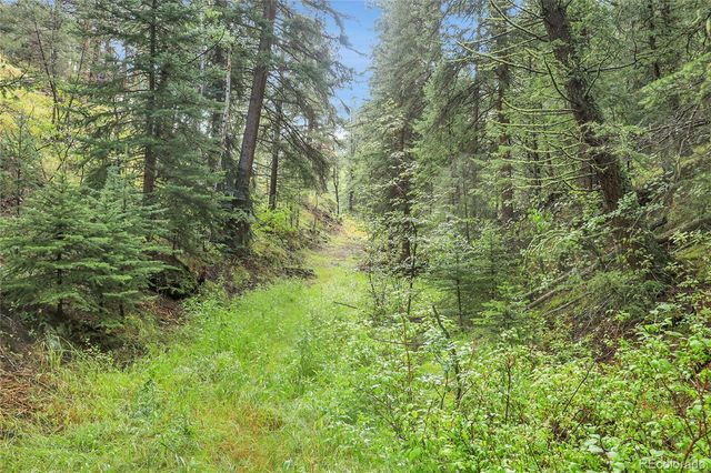 TBD Mountain Park Road, Evergreen, CO 80439