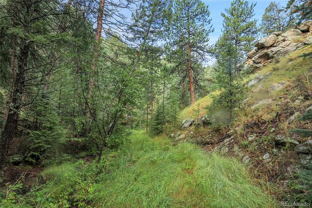 TBD Mountain Park Road, Evergreen, CO 80439