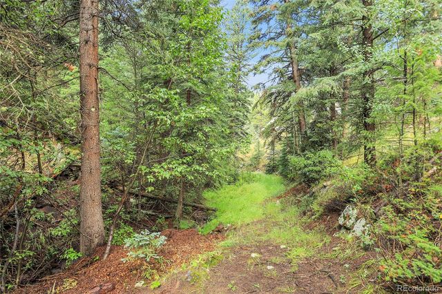 TBD Mountain Park Road, Evergreen, CO 80439