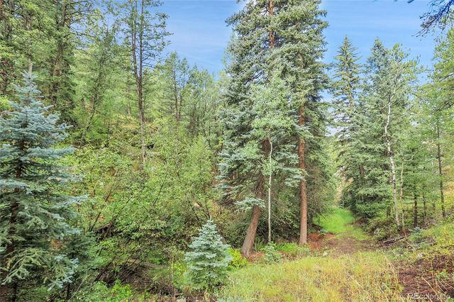 TBD Mountain Park Road, Evergreen, CO 80439