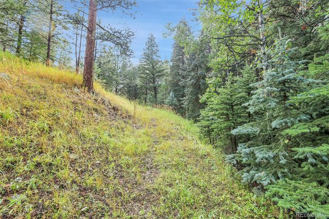 TBD Mountain Park Road, Evergreen, CO 80439