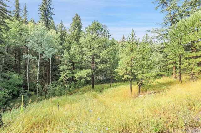 TBD Mountain Park Road, Evergreen, CO 80439