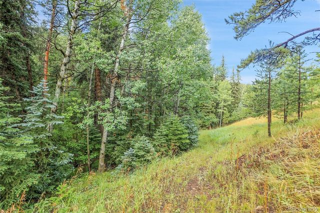 TBD Mountain Park Road, Evergreen, CO 80439