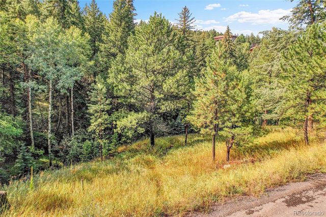 TBD Mountain Park Road, Evergreen, CO 80439