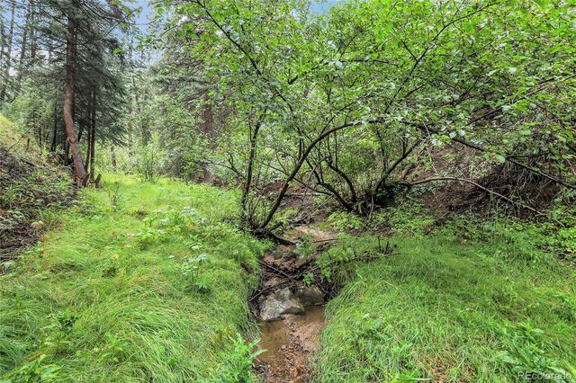 TBD Mountain Park Road, Evergreen, CO 80439