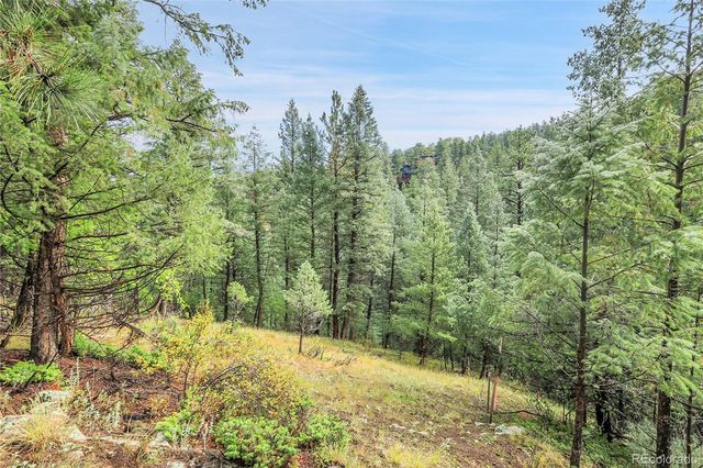 TBD Mountain Park Road, Evergreen, CO 80439