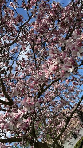 3326 Monarch DRIVE, Racine, WI 53406