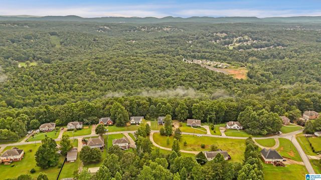 477 LEVINE ROAD, Odenville, AL 35120