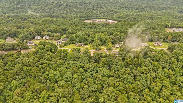 477 LEVINE ROAD, Odenville, AL 35120