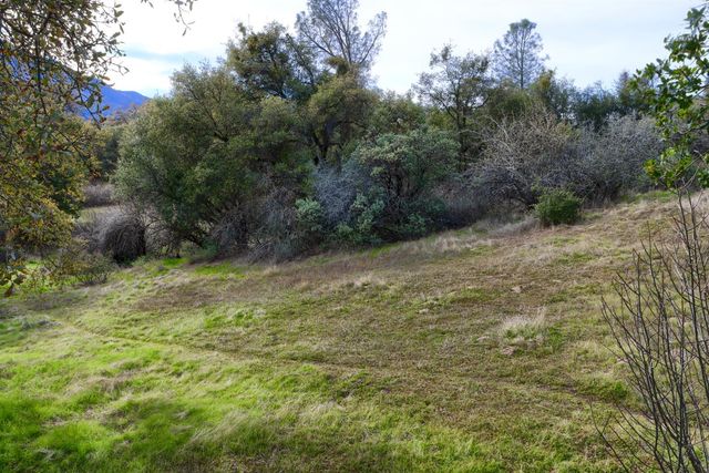 40740 Road 425a, Oakhurst, CA 93644