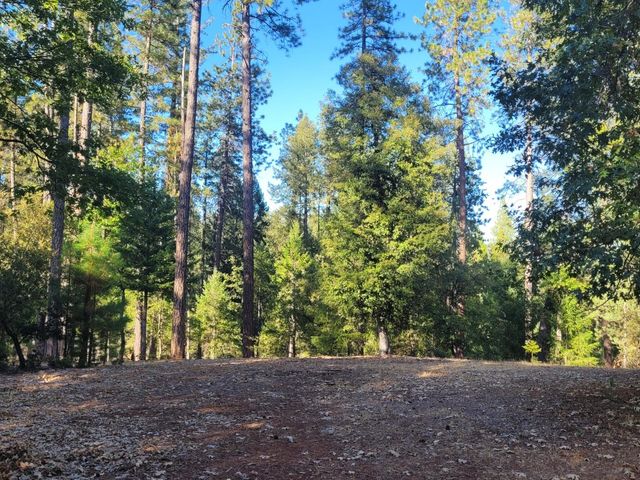 21607 Rambling Rd, Grass Valley, CA 95945