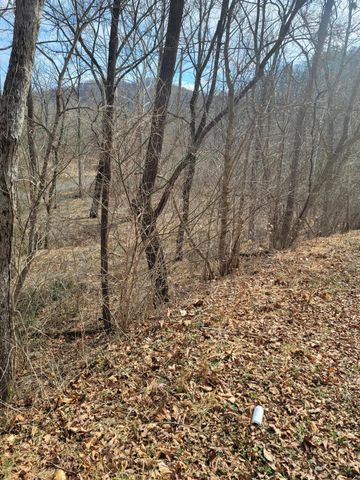 0 Starlight LN, Boones Mill, VA 24065