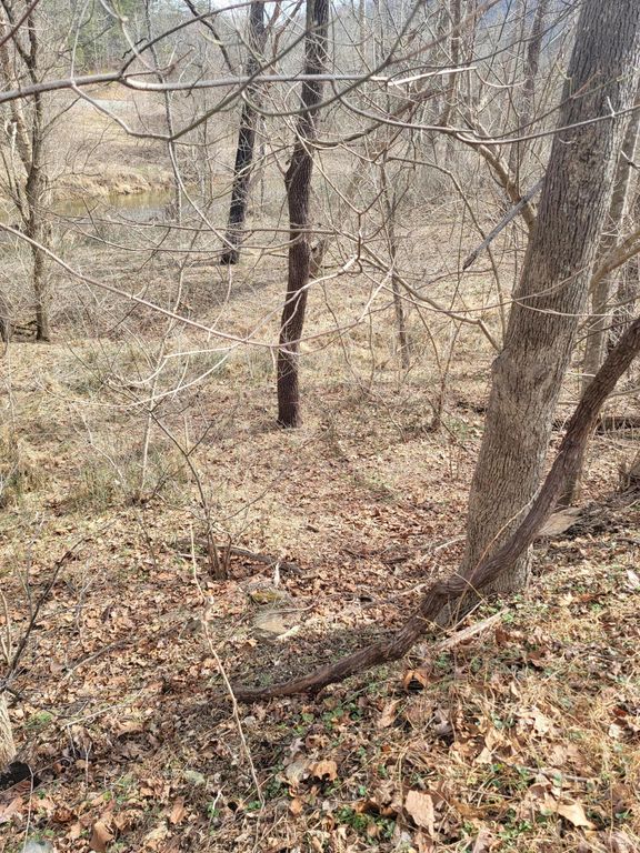 0 Starlight LN, Boones Mill, VA 24065