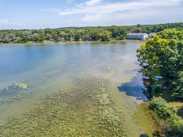 11306 Woodruff Lake Drive, Brighton, MI 48116