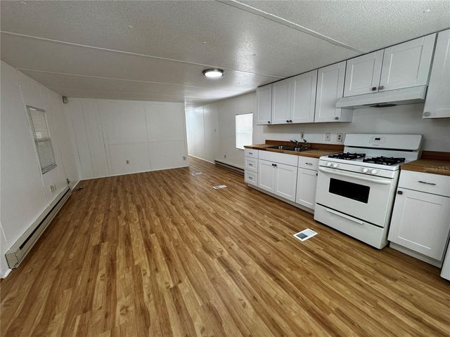 1350 COUNTY DRIVE, Tavares, FL 32778