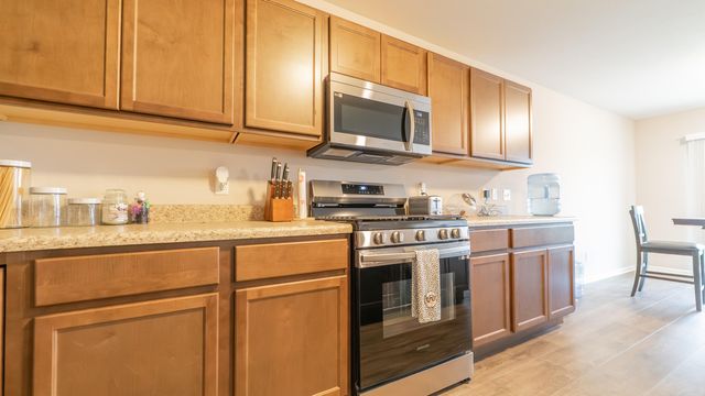 10207 Kreitzburg Street, Dyer, IN 46311