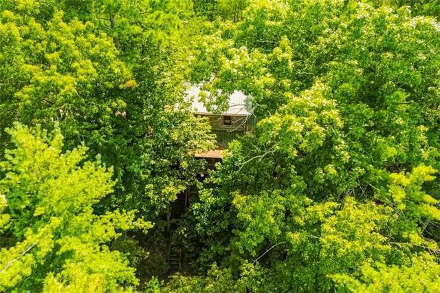 250 Meadow Lane, Talking Rock, GA 30175