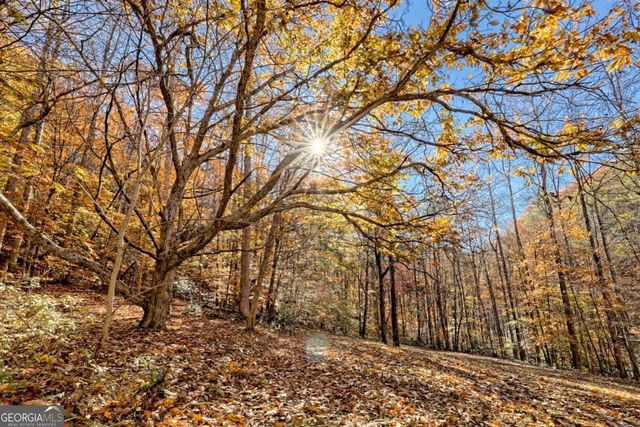 1307 Clear Creek Road, Hayesville, NC 28904