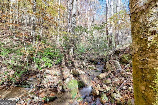 1307 Clear Creek Road, Hayesville, NC 28904