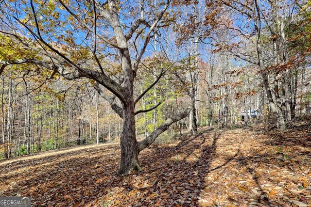 1307 Clear Creek Road, Hayesville, NC 28904