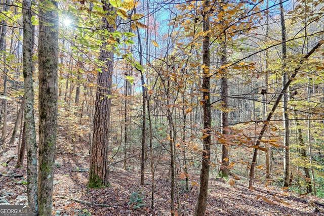 1307 Clear Creek Road, Hayesville, NC 28904
