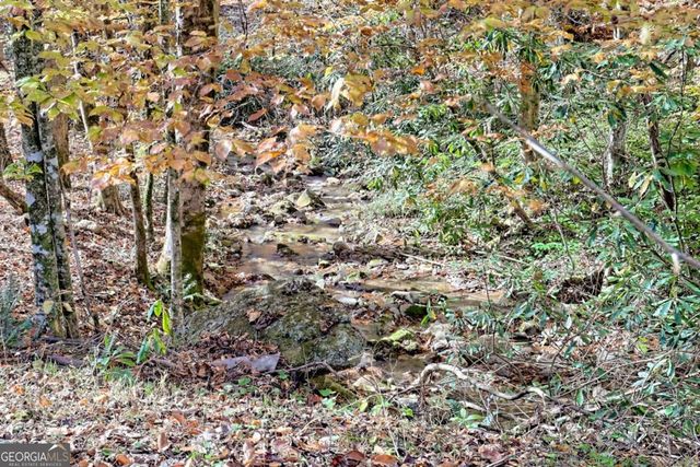 1307 Clear Creek Road, Hayesville, NC 28904