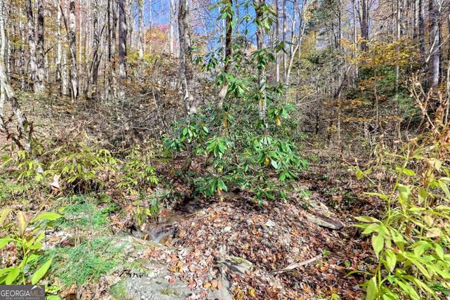 1307 Clear Creek Road, Hayesville, NC 28904