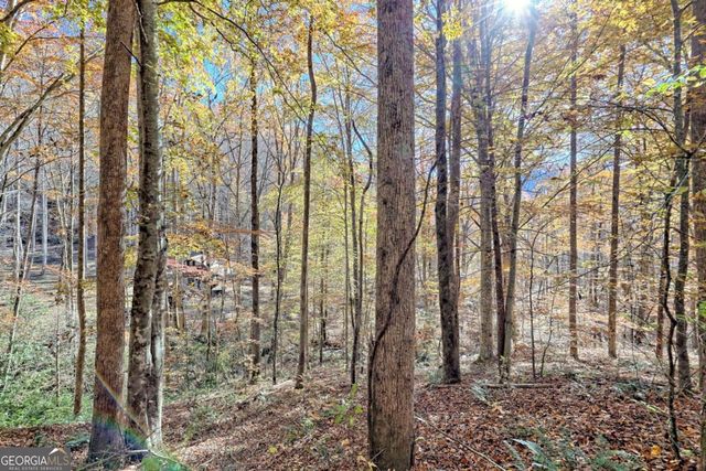 1307 Clear Creek Road, Hayesville, NC 28904