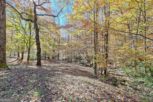 1307 Clear Creek Road, Hayesville, NC 28904