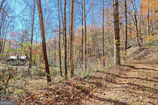 1307 Clear Creek Road, Hayesville, NC 28904