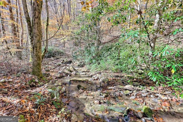 1307 Clear Creek Road, Hayesville, NC 28904