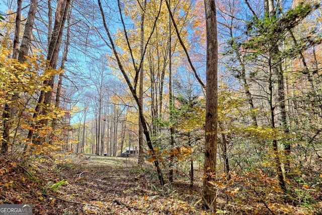 1307 Clear Creek Road, Hayesville, NC 28904