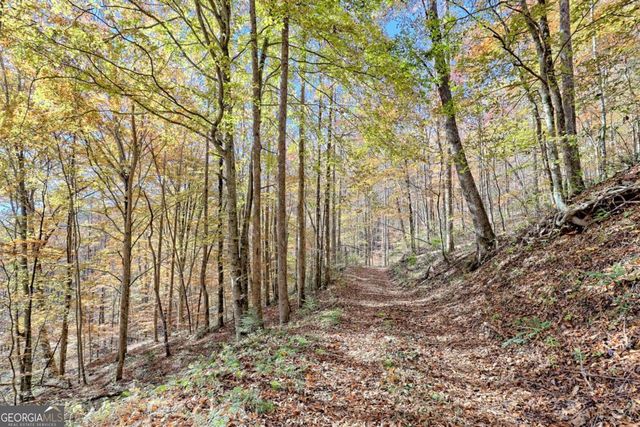 1307 Clear Creek Road, Hayesville, NC 28904