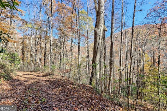 1307 Clear Creek Road, Hayesville, NC 28904